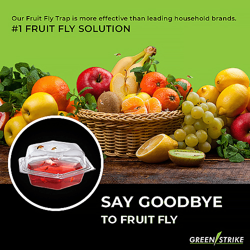Pre-Filled Fruit Fly Traps – 2 Pack