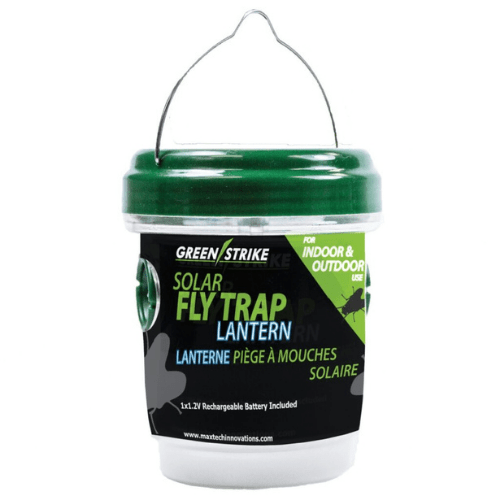 Solar Fly Trap and Lantern