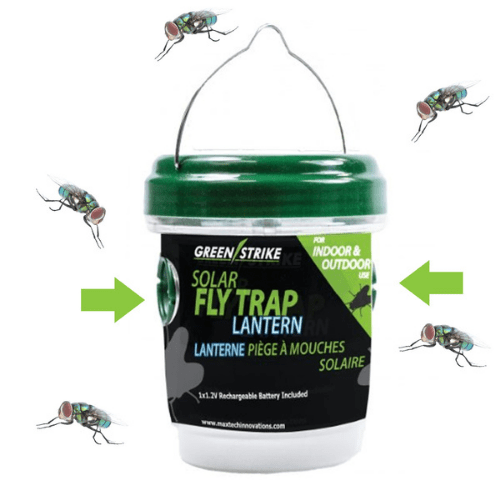 Solar Fly Trap and Lantern