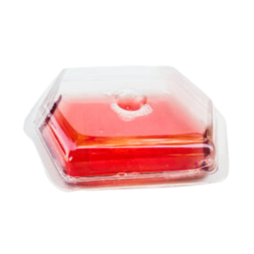 Commercial Fruit Fly Traps – 12 Pack With 3 Holders